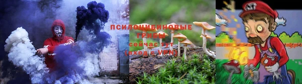 спиды Алексин