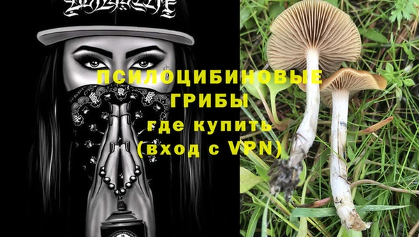 спиды Алексин