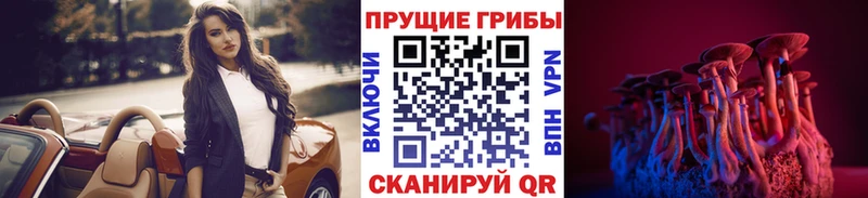 Галлюциногенные грибы Psilocybe  Калязин 